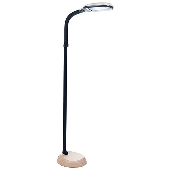 daylight bulb in a small office floor lamp. Great for separation from background!