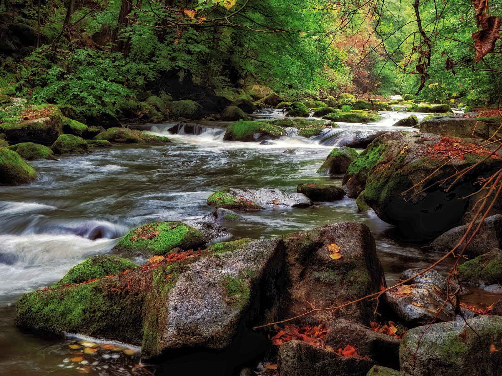 Natural organic streams flow - like local small business partnerships